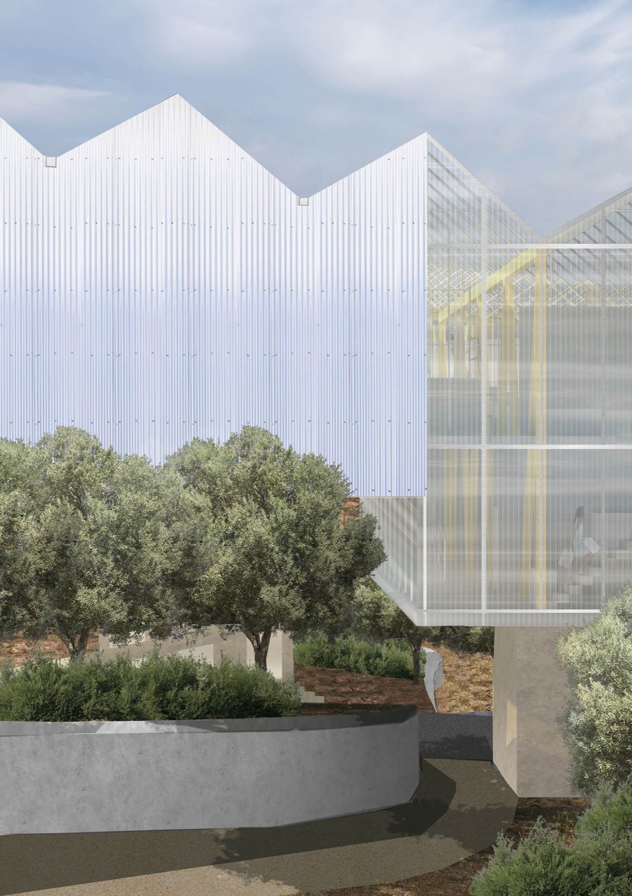A corrugated and translucent building standing over a courtyard of olive trees