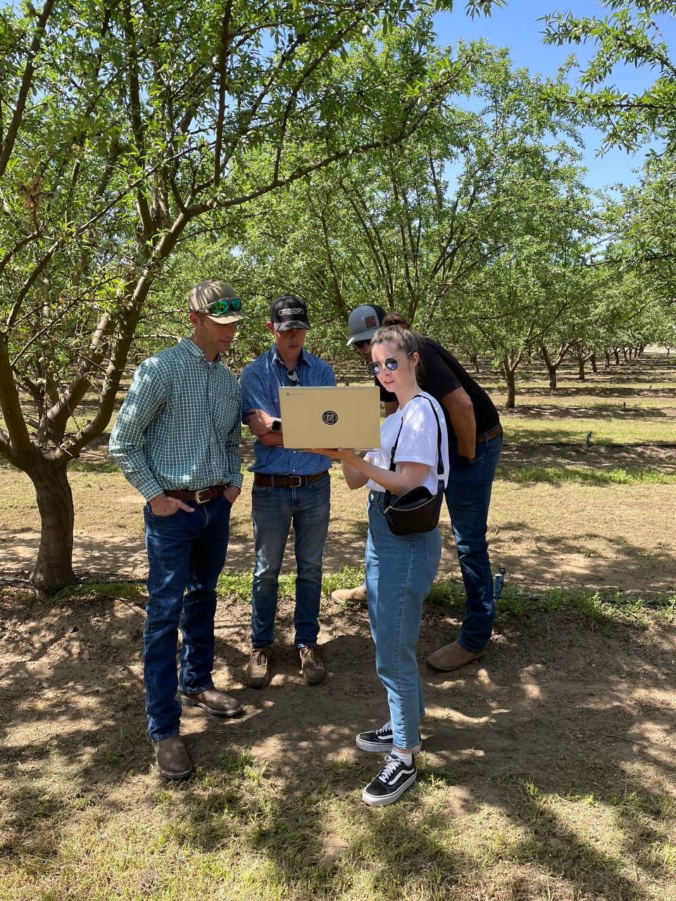 Monika showing a laptop to three growers standing under the trees in an almond orchard